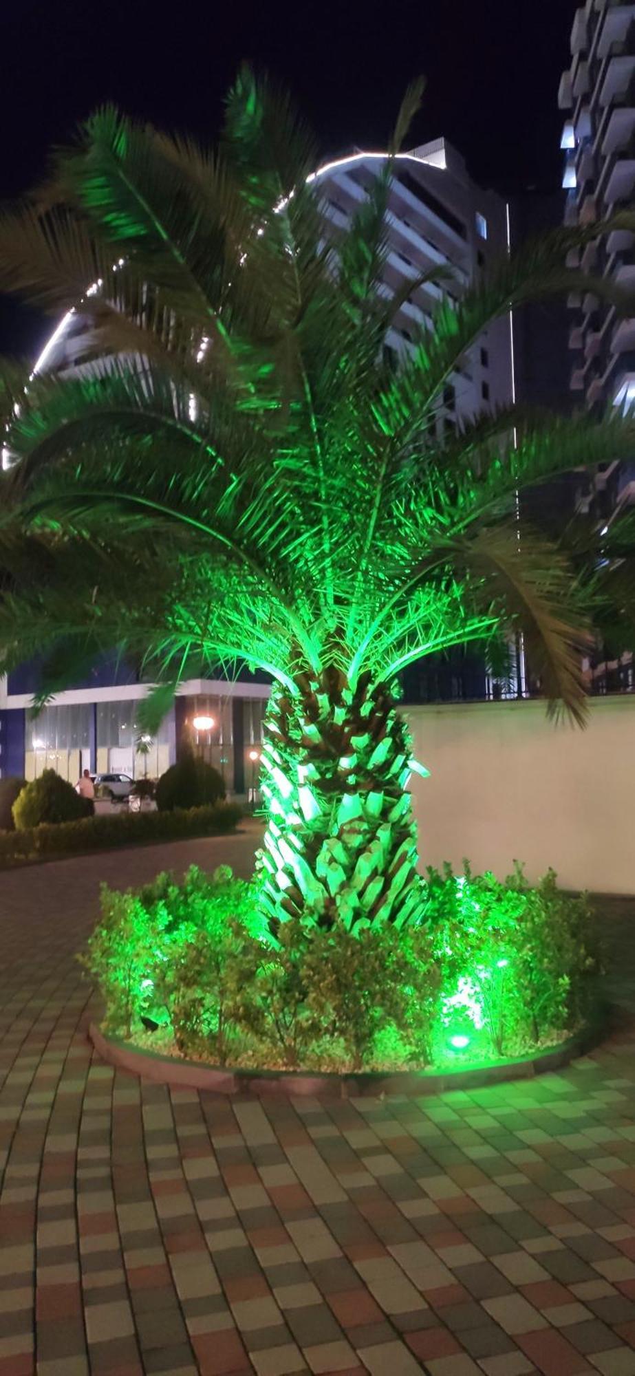 Sea Batumi